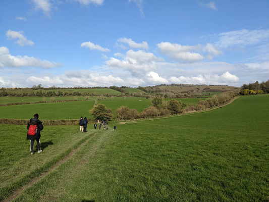 Walking for Ukraine